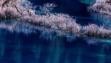 九寨沟C (2)