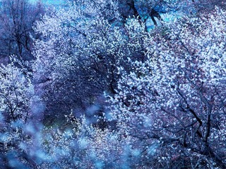 新疆4月行A组-_吐尔根 (1)
