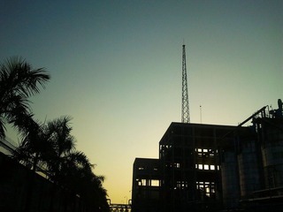 IMG_20121026_071555.jpg
