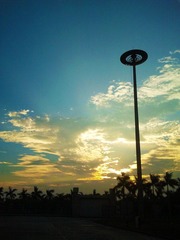 IMG_20121101_071230.jpg