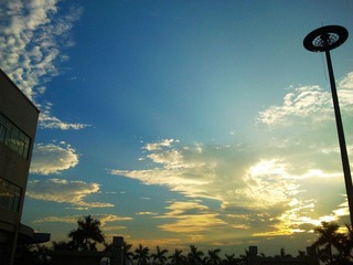 IMG_20121101_071249.jpg