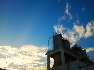 IMG_20121101_071751.jpg