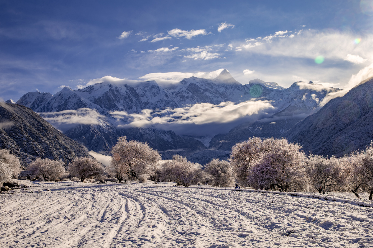 雪域桃花映神山