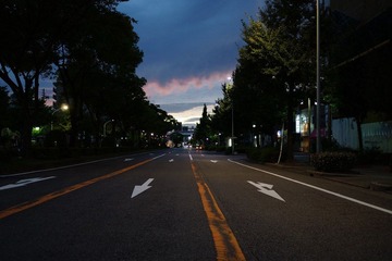 DSC02787.JPG