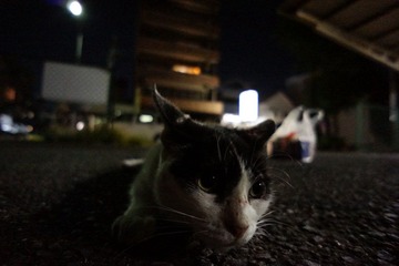 DSC02593.JPG