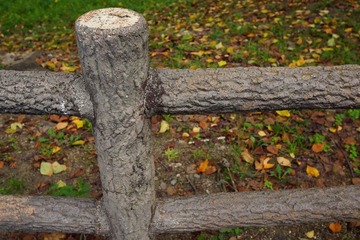 DSC02389.JPG