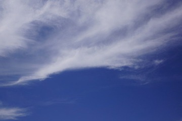 DSC02343.JPG