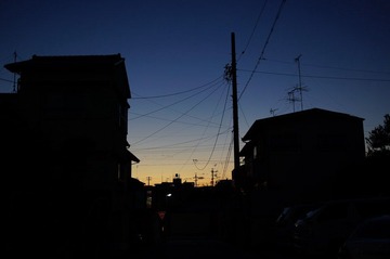 DSC02317.JPG