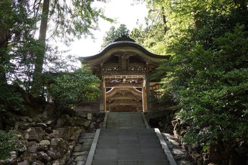 DSC01935.JPG