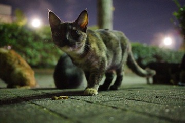 DSC03368.JPG