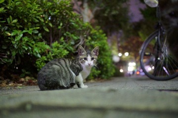 DSC03383.JPG