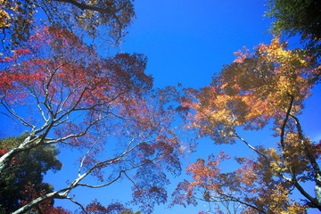 DSC04274.jpg