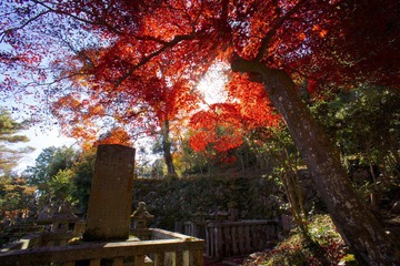 DSC04277.jpg