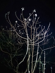 131030