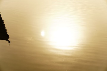 1000138014