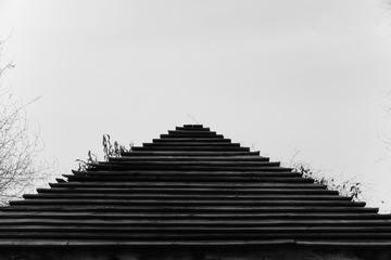 1000138013
