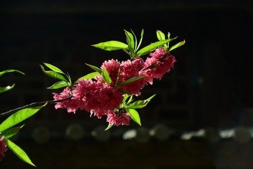 128220