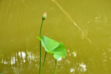 7842