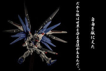 把自由赐于我，我就有责任用他来保卫世界