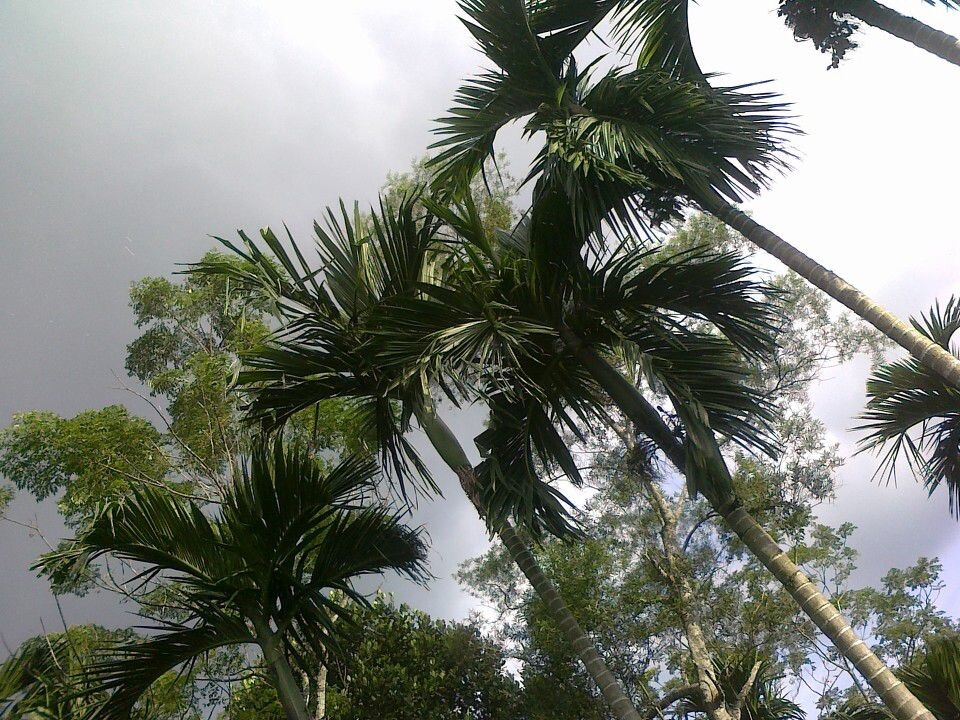 201009261655<br />
