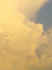 66952