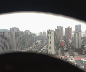 3801913