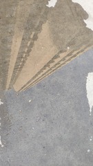 3797536
