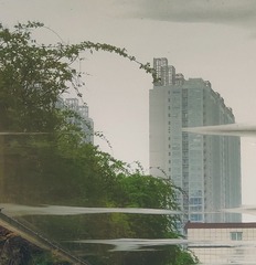 3805037