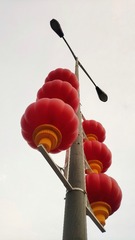 3803299