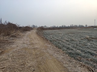 3800039