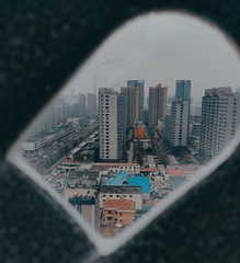 3801918