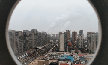 3801919