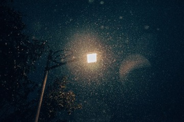 58355