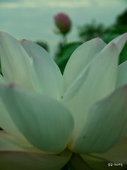 20156