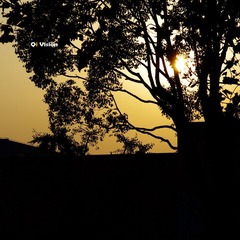 IMGP0116.jpg