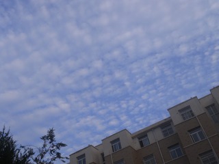 1000011743