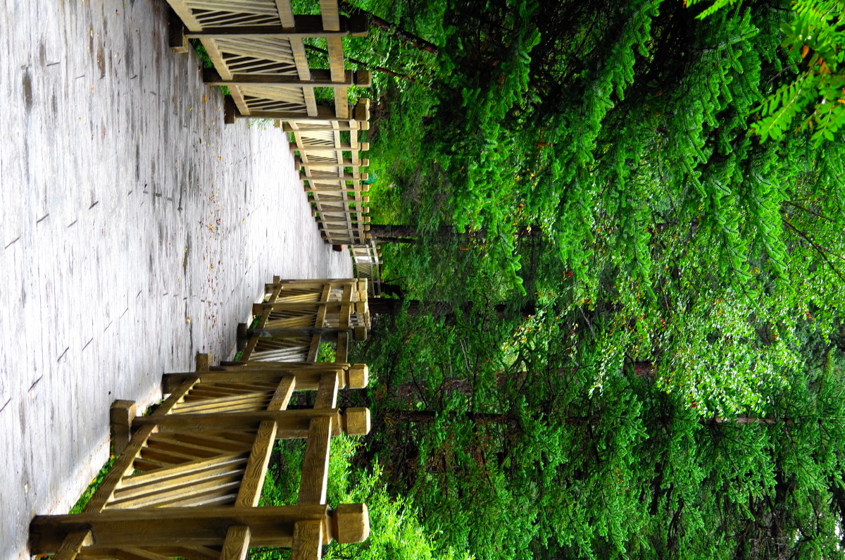 阿坝州壤塘县高原林海秋色