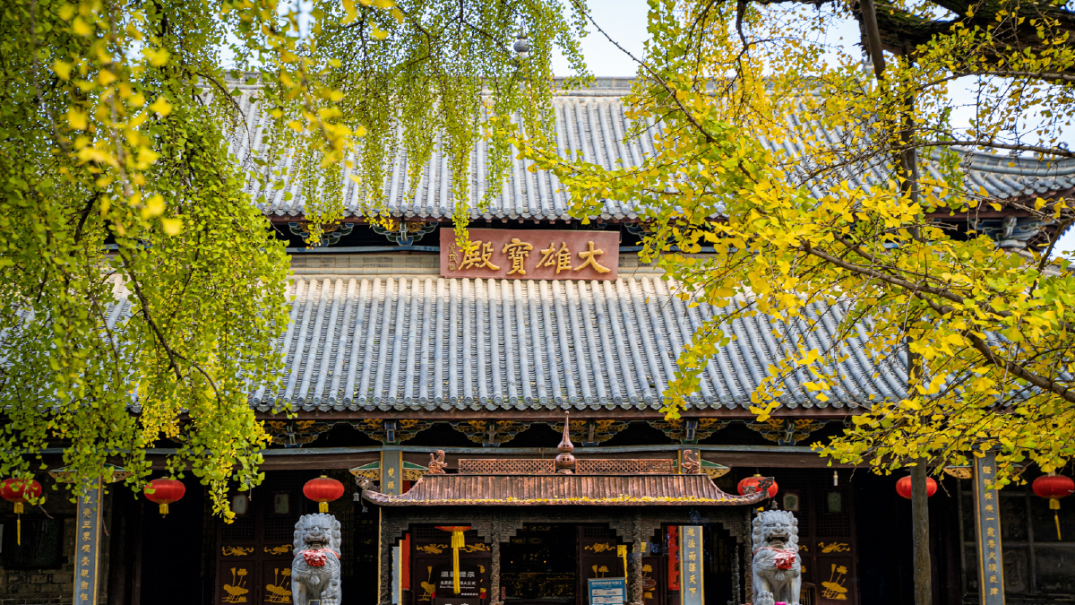 寿县报恩禅寺1300年古银杏