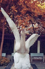 IMGP0966.jpg