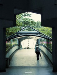IMGP2138 - 副本.jpg
