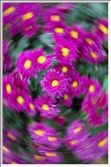 1000022369
