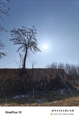 1000002977