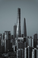 1000083129