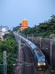 1000014529
