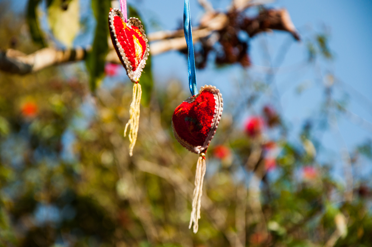 中科院西双版纳热带种植园 - -刘灏- - 图虫网 - 