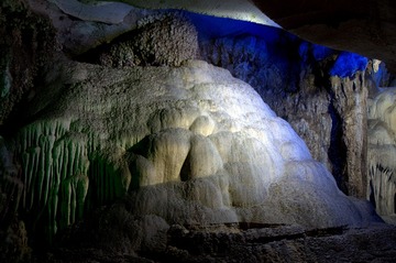 DSC_0310.NEF.jpg