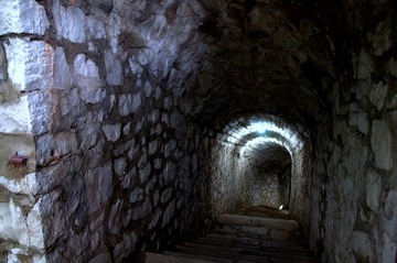 DSC_0334.NEF.jpg