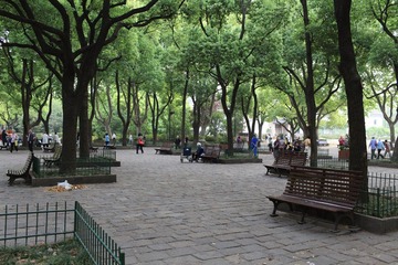 鲁迅公园2