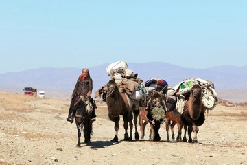 IMG_9281P.jpg