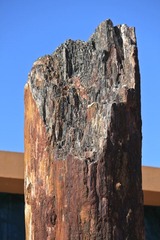 IMG_9331.JPG